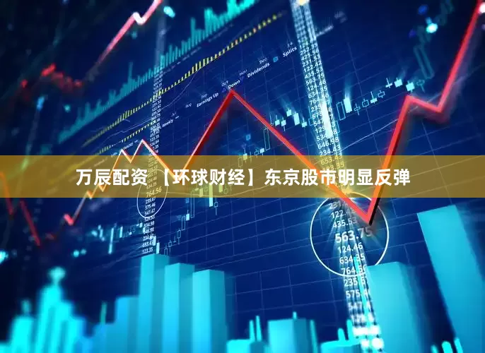 万辰配资 【环球财经】东京股市明显反弹