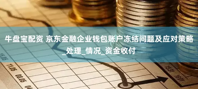 牛盘宝配资 京东金融企业钱包账户冻结问题及应对策略_处理_情况_资金收付